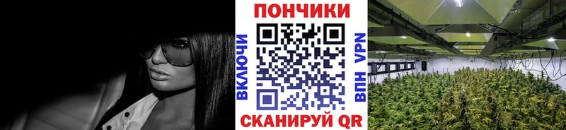Где купить наркоту Александров Cocaine МЕТАМФЕТАМИН ГАШИШ Меф мяу мяу