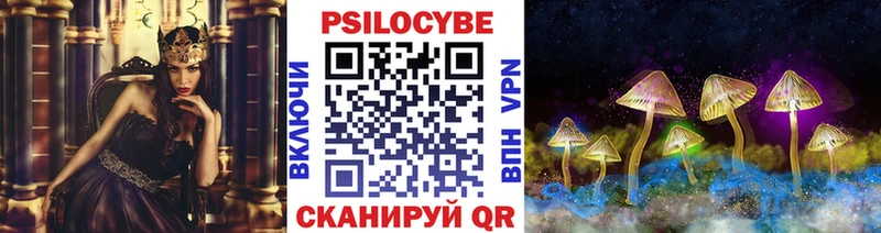 цена   Александров  Галлюциногенные грибы мицелий 